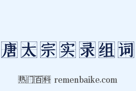 唐太宗实录组词是什么意思的图片